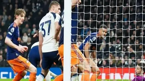 “旷世对决：熊霸与狼王的生死较量，谁将笑到最后？”