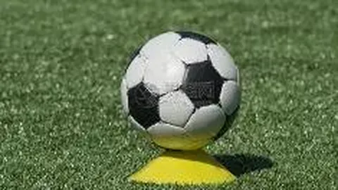 利兹联主场战英超，专家预测能否全胜三分